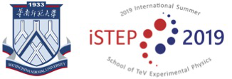 The International Summer school on TeV Experimental Physics 2019 (iSTEP 2019)
